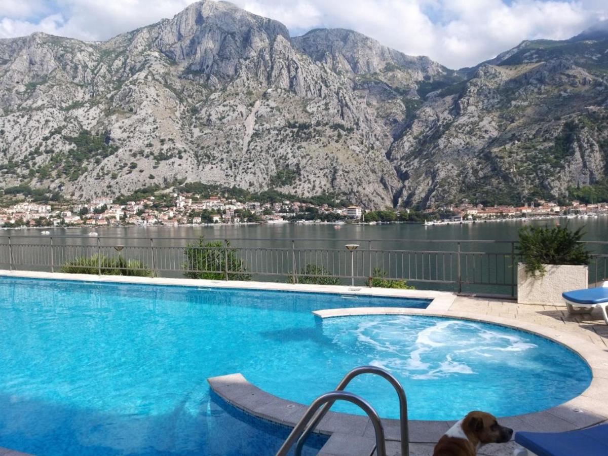 Radiant Apartment Kotor Ngoại thất bức ảnh